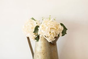 ライオンあくび育成コース